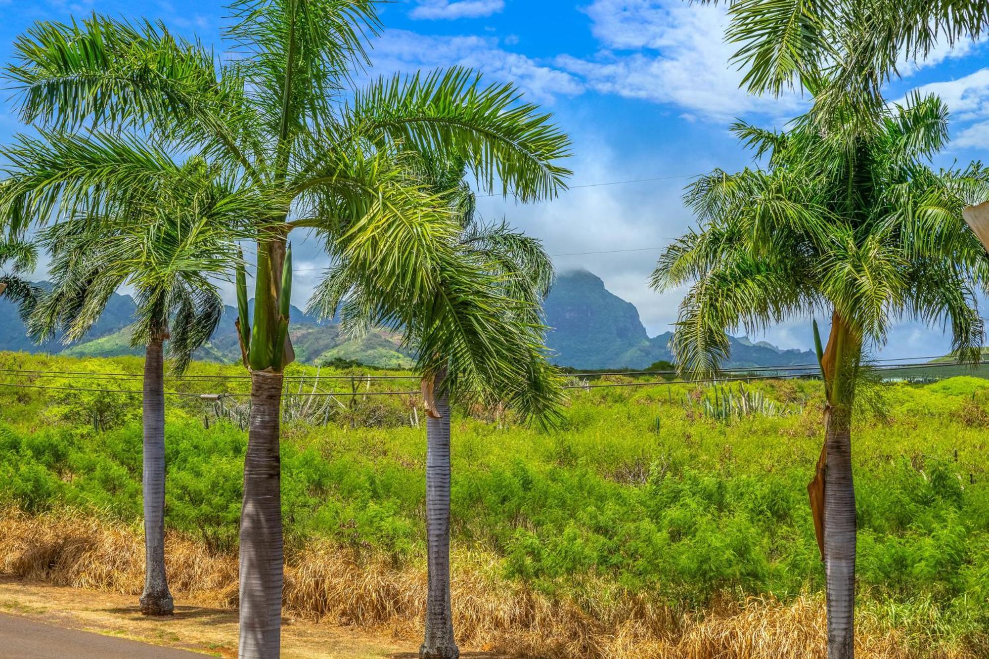 Pili Mai II Villa Koloa Phòng bức ảnh